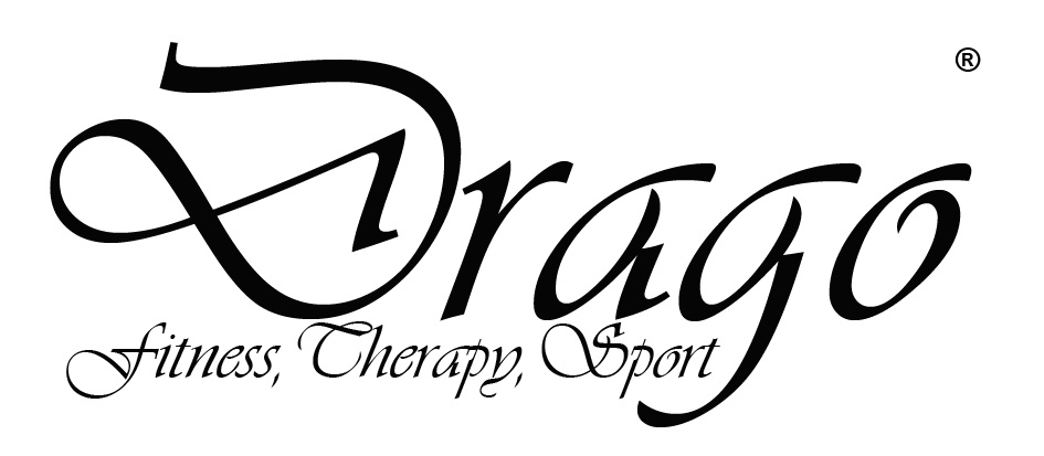 DragoLogoTransparent